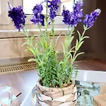 Sei Hier Gast - Klosterhof * Ашерслебен