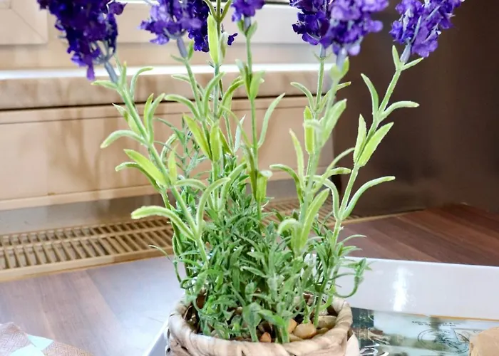 Sei Hier Gast - Klosterhof * アッシャースレーベン